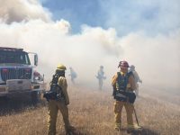 ‘Measles is only a plane flight away’: As outbreak surges, experts warn against global health funding cuts